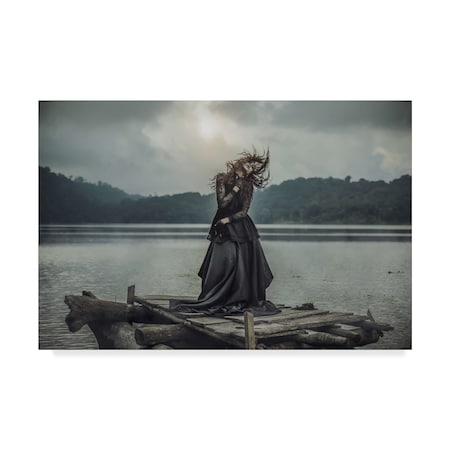 Trademark Fine Art Felix Rusli 'Mood For Dance' Canvas Art, 12x19 1X06303-C1219GG